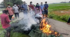 বাসাইলে প্রশাসনের অভিযানে বিপুল পরিমাণ চায়না জাল ধ্বংস