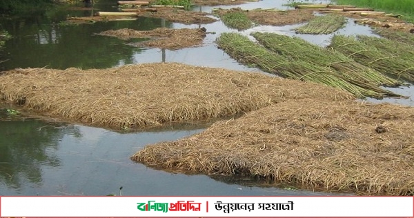 বাঘারপাড়ায় পাট জাগ দিতে গিয়ে কৃষকের মৃত্যু