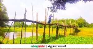 একটি সেতুর অভাবে হাজারো মানুষের দুর্ভোগ