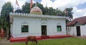 পানিতে চুবিয়ে কথিত পীরের চিকিৎসা, এলাকায় তোলপাড়