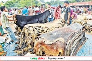 ঋণ সুবিধার বর্ধিত সময় পেল চামড়া ব্যবসায়ীরা