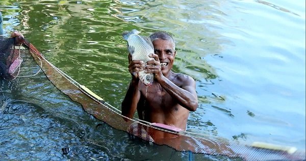 একটি দিয়ে মাছ চাষ শুরু, এখন ১০ পুকুরের মালিক