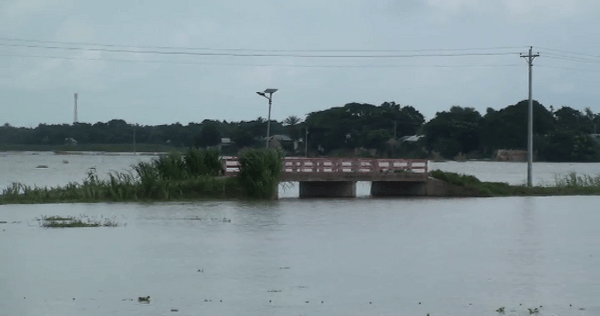 ফরিদপুরে পদ্মার পানি বৃদ্ধি পেয়েছে