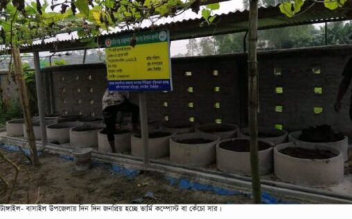 টাঙ্গাইলের বাসাইলে দিন দিন জনপ্রিয় হচ্ছে ভার্মি কম্পোস্ট