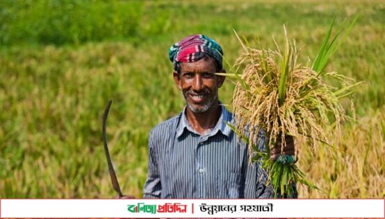 কৃষকের ‘বিশেষ ঋণ’ সহজ করল কেন্দ্রীয় ব্যাংক