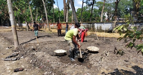 বদলে যাচ্ছে কুমিল্লা বোটানিক্যাল গার্ডেন