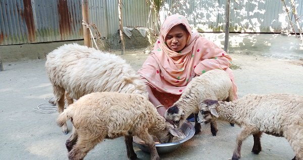 কুড়িগ্রামে চরাঞ্চলে আয়বৃদ্ধিমূলক কর্মকান্ডে পাল্টে যাচ্ছে জীবনমান