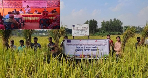 শেরপুরে ব্রিধান ৭২ প্রদর্শনীর কৃষক মাঠ দিবস অনুষ্ঠিত