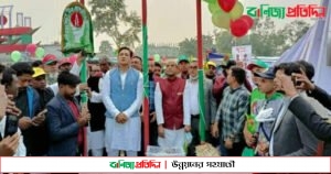 মিরসরাইয়ে মুক্তিযুদ্ধের বিজয় মেলার উদ্বোধন