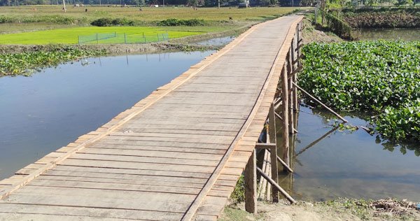 চেয়ারম্যানের অর্থায়নে কাঠের সেতু, স্বস্তিতে ৭ গ্রামের মানুষ