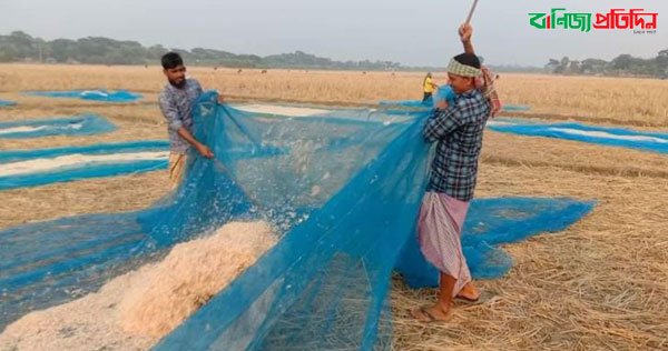 ব্যাস্ত সময় পাড় করেছে কলাপাড়ার শুঁটকি প্রস্তুত কারী জেলেরা