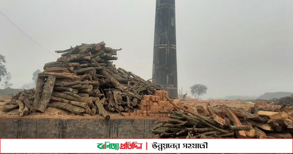 কুষ্টিয়ায় অবৈধ ইটভাটায় পরিবেশ অধিদপ্তরের অভিযান