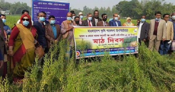 শেরপুরে বারি সরিষা-১৪ আবাদের উপর মাঠ দিবস অনুষ্ঠিত