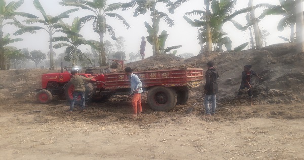 ঠাকুরগাঁওয়ে নদীর পাড় কেটে নিয়ে যাচ্ছে দূর্বৃত্তরা