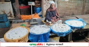 সুজানগরে অবাধে বিক্রি হচ্ছে জাটকা ইলিশ