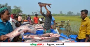 ধুনটে ঐতিহ্যবাহি বকচর মেলায় হাজারো মানুষের সমাগম