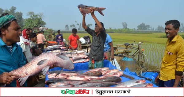 ধুনটে ঐতিহ্যবাহি বকচর মেলায় হাজারো মানুষের সমাগম