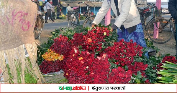 ঘুরে দাঁড়িয়েছে ফুলের রাজধানী গদখালী