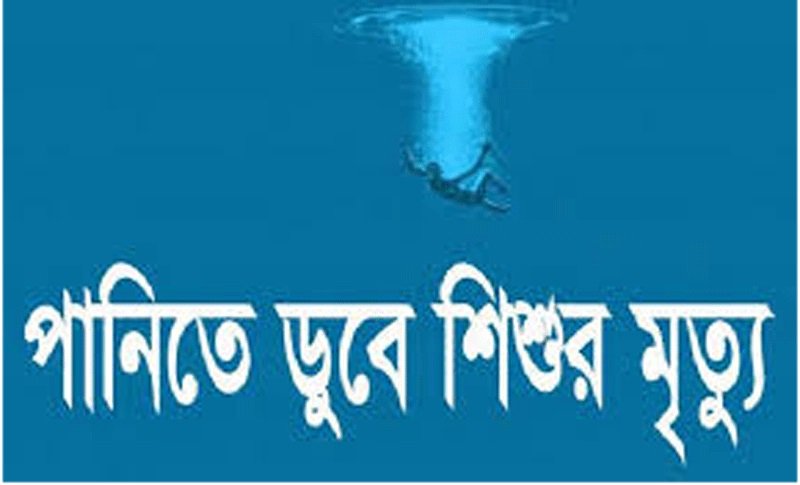 ফুলবাড়ীতে ডোবার পানিতে শিশুর মৃত্যু