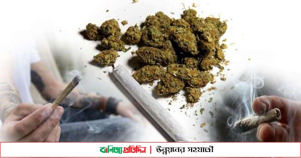 ইবিতে গাঁজা নিয়ে লঙ্কাকাণ্ড