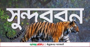 ভালবাসার স্রোতে তলিয়ে যাচ্ছে সুন্দরবন দিবস