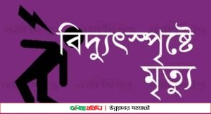 জমিতে পানি দিতে গিয়ে বিদ্যুৎপৃষ্টে যুবকের মৃত্যু