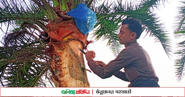 মাগুরা থেকে ঐতিহ্যবাহী খেজুর রস হারিয়ে যেতে বসেছে