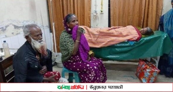 লালমনিরহাটে শিয়ালের কামড়ে বন কর্মকর্তাসহ আহত ৯