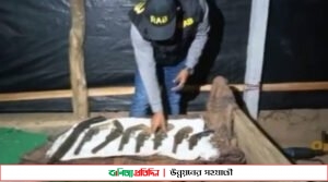 পেকুয়ায় অস্ত্র তৈরির কারখানায় র‌্যাবের অভিযানে আটক ৩