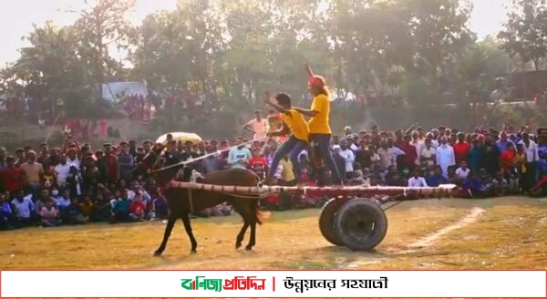 কুষ্টিয়ায় ঐতিহ্যবাহী ঘোড়া ও মহিষ প্রতিযোগীতা