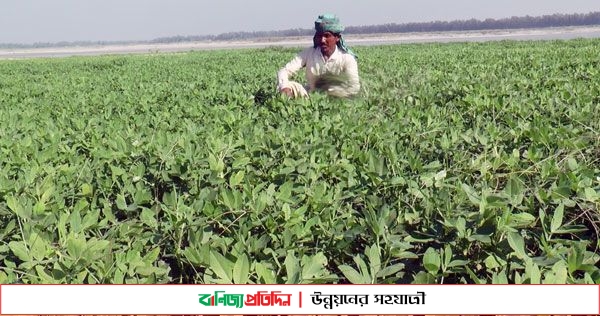 যমুনার চরে বালির নিচে মুঠো মুঠো গুপ্তধন