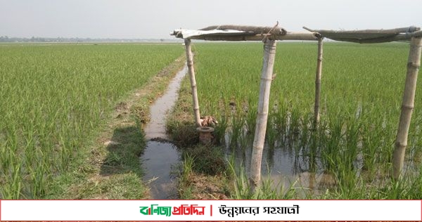 টাকা না দেওয়ায় ছাড়পত্র বাতিলে হুমকি বিএডিসি প্রকৌশলীর!