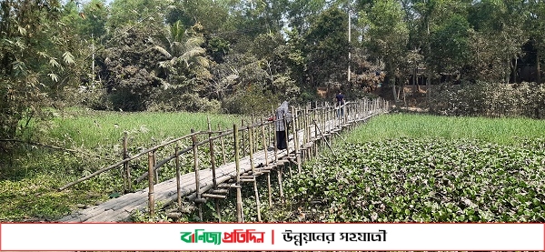 ফরিদগঞ্জে ৬ গ্রামের মানুষের ভরসা একটি বাঁশের সাঁকো