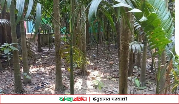 লক্ষ্মীপুরে নিরীহ চা দোকানীর জমি দখলের চেষ্টা