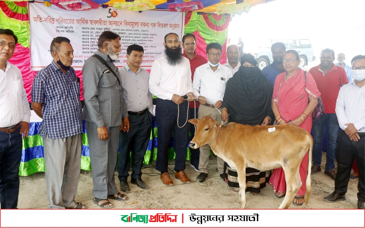 ঠাকুরগাঁওয়ে অতিদরিদ্র পরিবারের মাঝে বকনা বিতরন