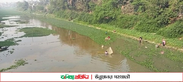 নেত্রকোণায় বিএডিসি প্রকল্প বাস্তবায়নের বেড়েছে আবাদী ভূমি