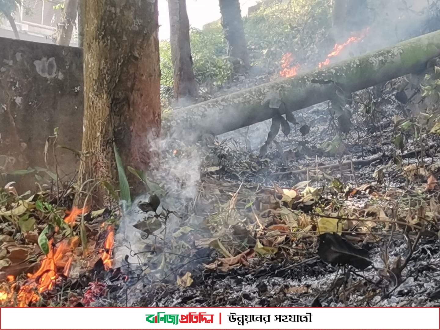 কুবির পাহাড়ে ফের আগুন