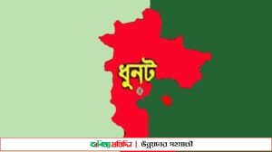 বগুড়ার ধুনটে আরও ৩ গরু চুরি