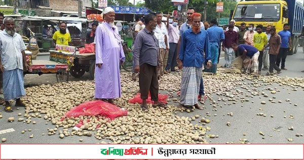 সড়কে আলু ঢেলে চাষিদের প্রতিবাদ