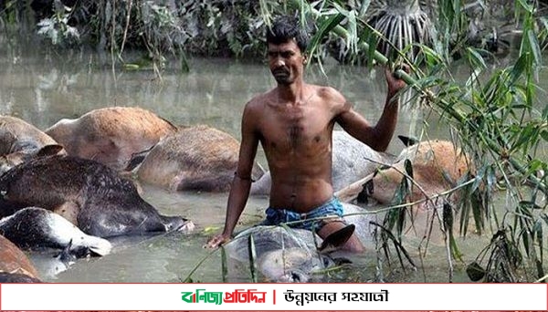 ভয়াল ২৯ এপ্রিল, সেই দুঃসহ স্মৃতি আজও তাড়া করে উপকূলবাসীকে