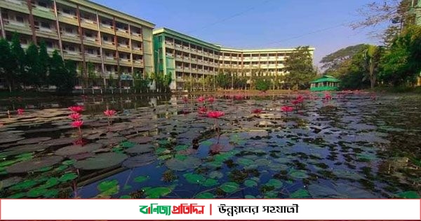 মেধাবী শিক্ষার্থীদের সংবর্ধনা দেবে নজরুল বিশ্ববিদ্যালয় শাখা ছাত্রলীগ