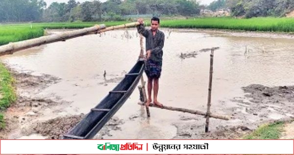 শ্রীপুরে এখনো টিকে আছে সনাতন সেচ পদ্ধতি