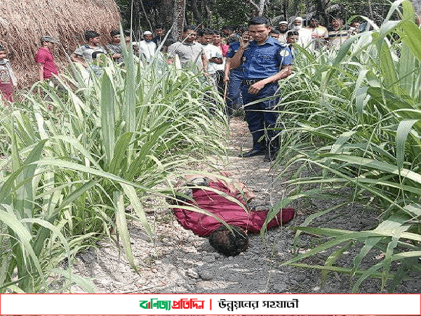 ভোলায় আখ খেত থেকে যুবকের লাশ উদ্ধার