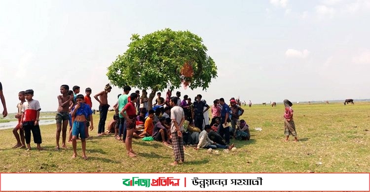 তিতাস নদীতে ধান বোঝাই নৌকা ডুবি  শ্রমিক নিখোঁজ 