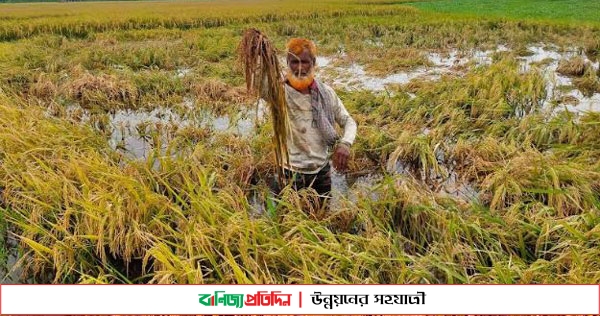 খননের অভাবে খালের নেই গভীরতা, হাজার বিঘা জমি প্লাবিত