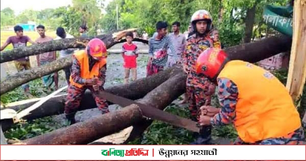 ঝিনাইদহে কালবৈশাখী ঝড়ে ব্যাপক ক্ষতি