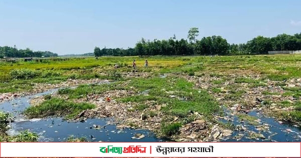 রোহিঙ্গা ক্যাম্পের বর্জ্য মারাত্মক প্রভাব পড়ছে ফসলী জমিতে