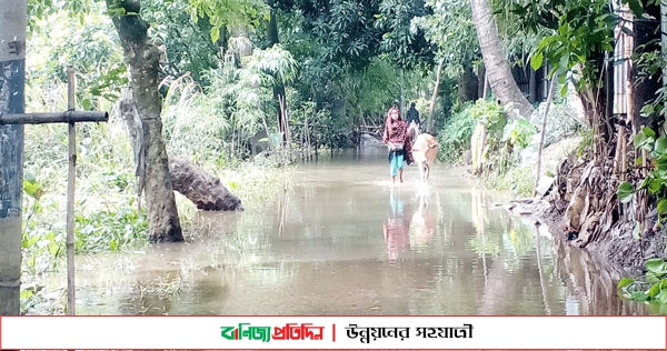 সুনামগঞ্জে বন্যায় রাস্তাঘাট, সেতু ও কালভার্টের ব্যাপক ক্ষতি