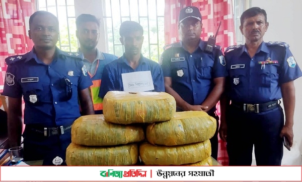 মতলব উত্তরে ১৪ কেজি গাঁজাসহ এক মাদক বিক্রেতা গ্রেপ্তার