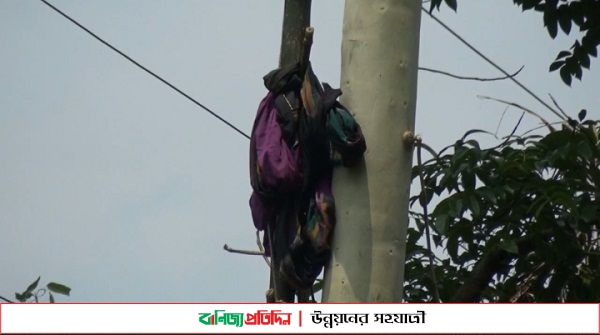 কুড়িগ্রামে গাছের ডাল কাটতে গিয়ে প্রাণ গেল বৃদ্ধের